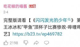 王冰冰爆料者是谁啊视频,真相背后引人深思